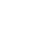 Kiwi NZ - Small-830